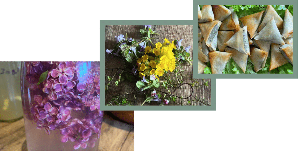 Ateliers culinaires et plantes sauvages
